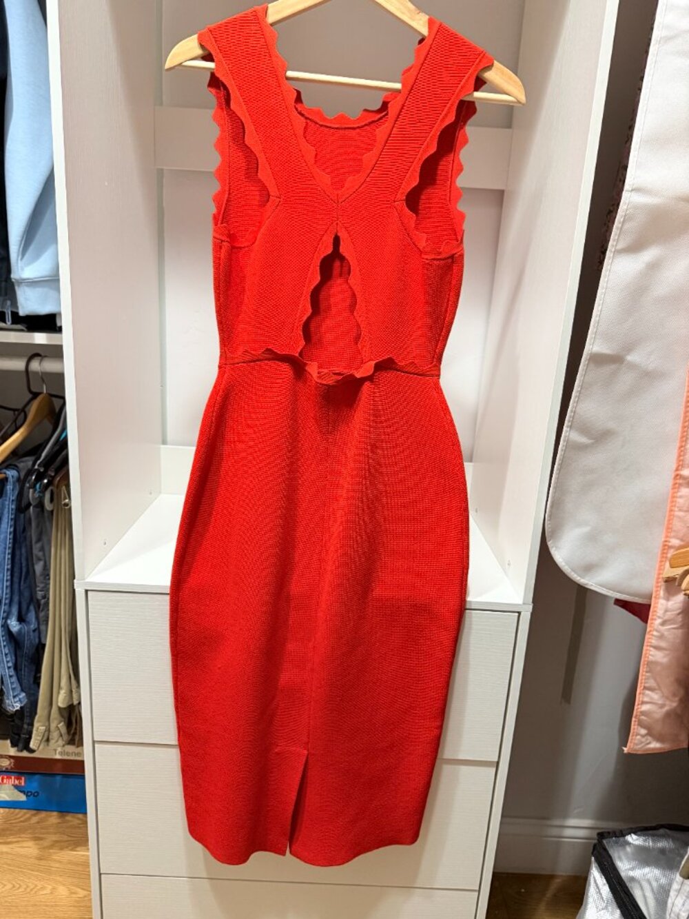 Alc Aldridge Dress In Geranio Red View 4